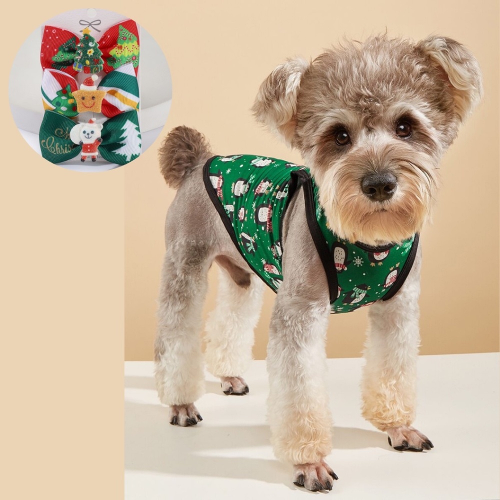 🔵 80% off 🔵 Christmas Pet Tee SET